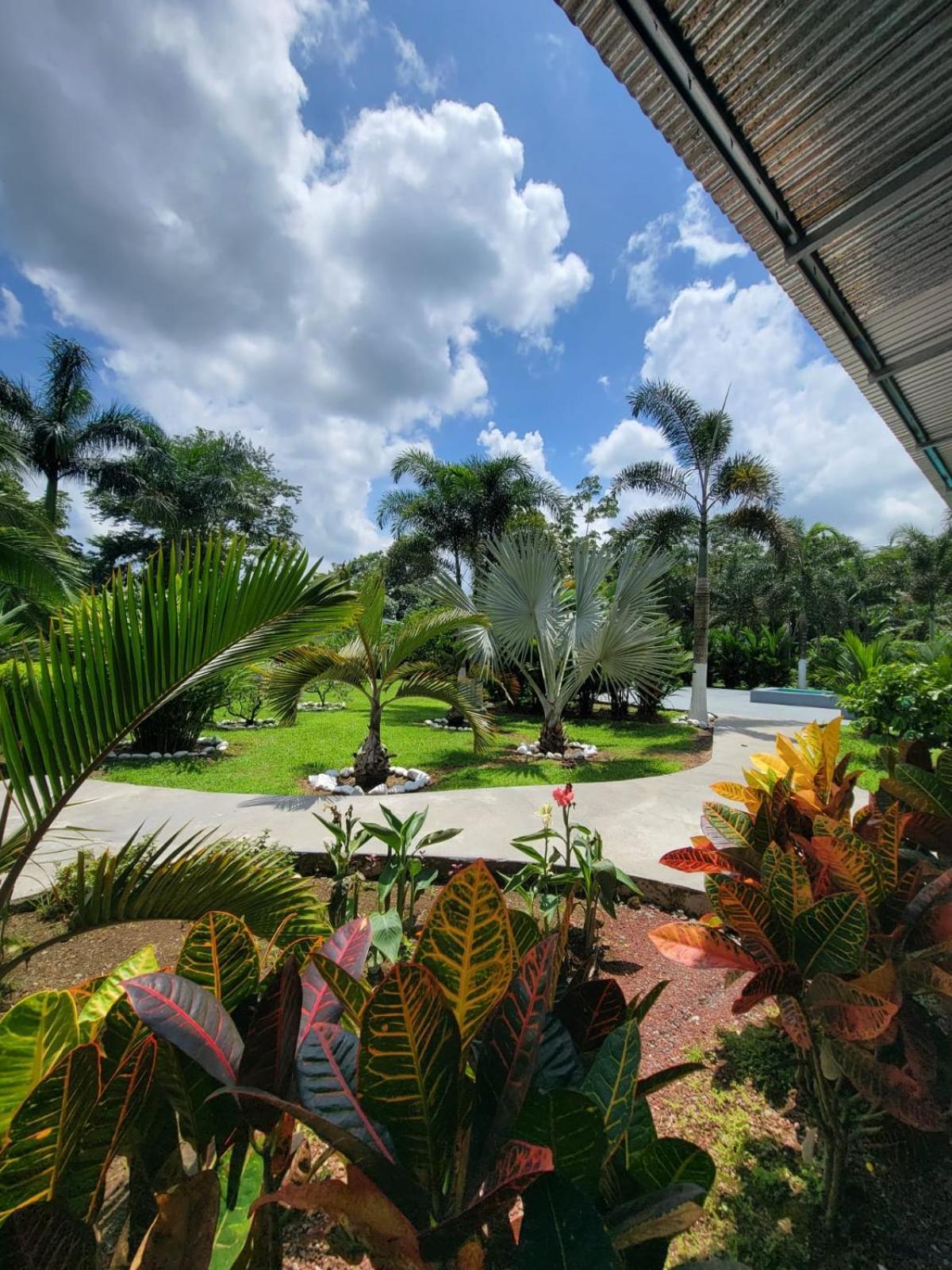 Hotel Campestre Arenal Ла Фортуна Экстерьер фото